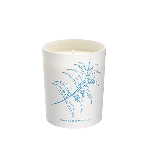 PHYTO-AROMATIC CANDLE_edited.png